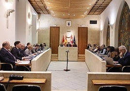 Miembros del pleno municipal en el inicio de la sesión de este viernes.