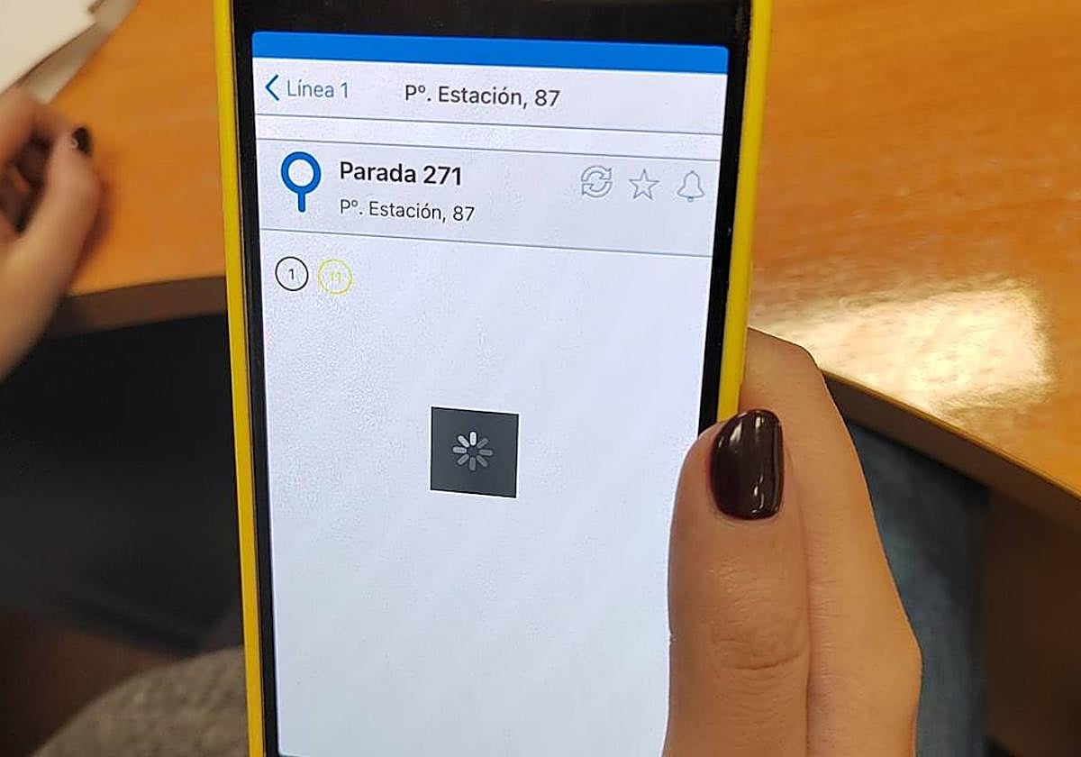 La aplicación se mantuvo durante todo el día cargando.