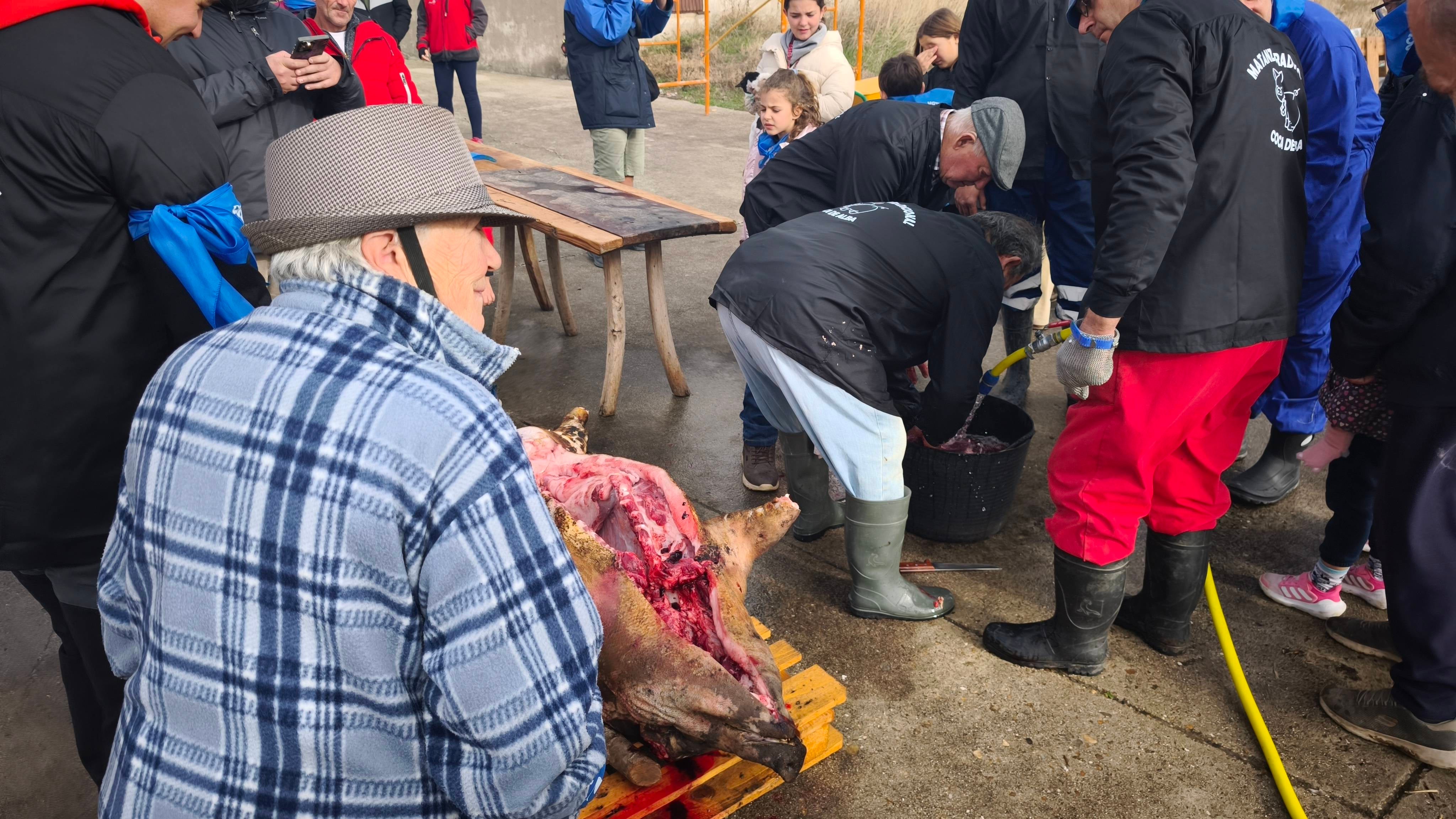 Homenaje a los más sabios en Coca de Alba