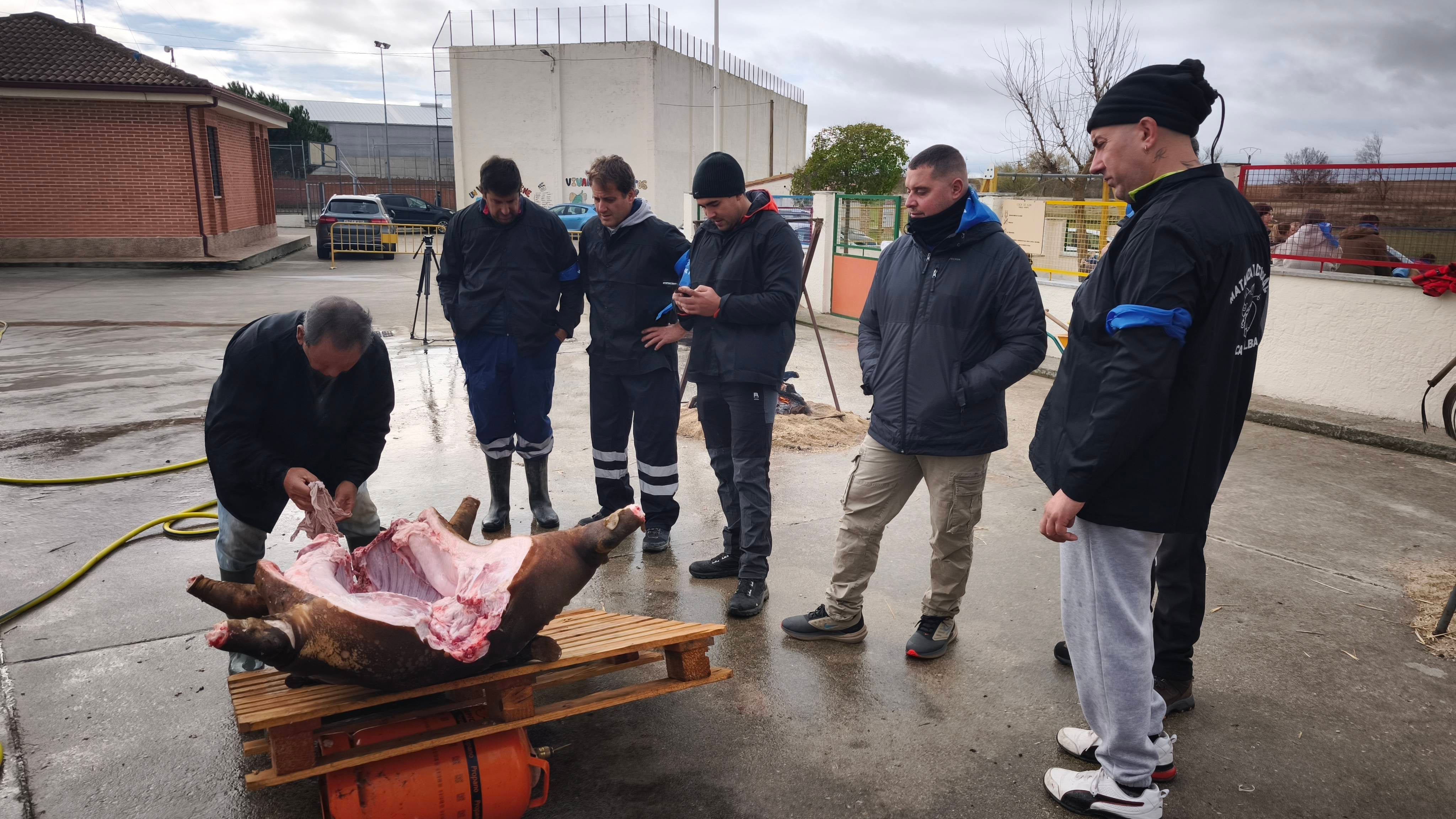 Homenaje a los más sabios en Coca de Alba