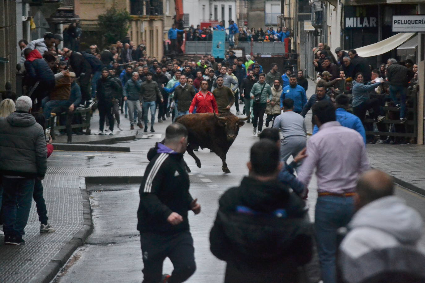 Vitigudino cierra el año taurino con un vibrante Toro de San Nicolás