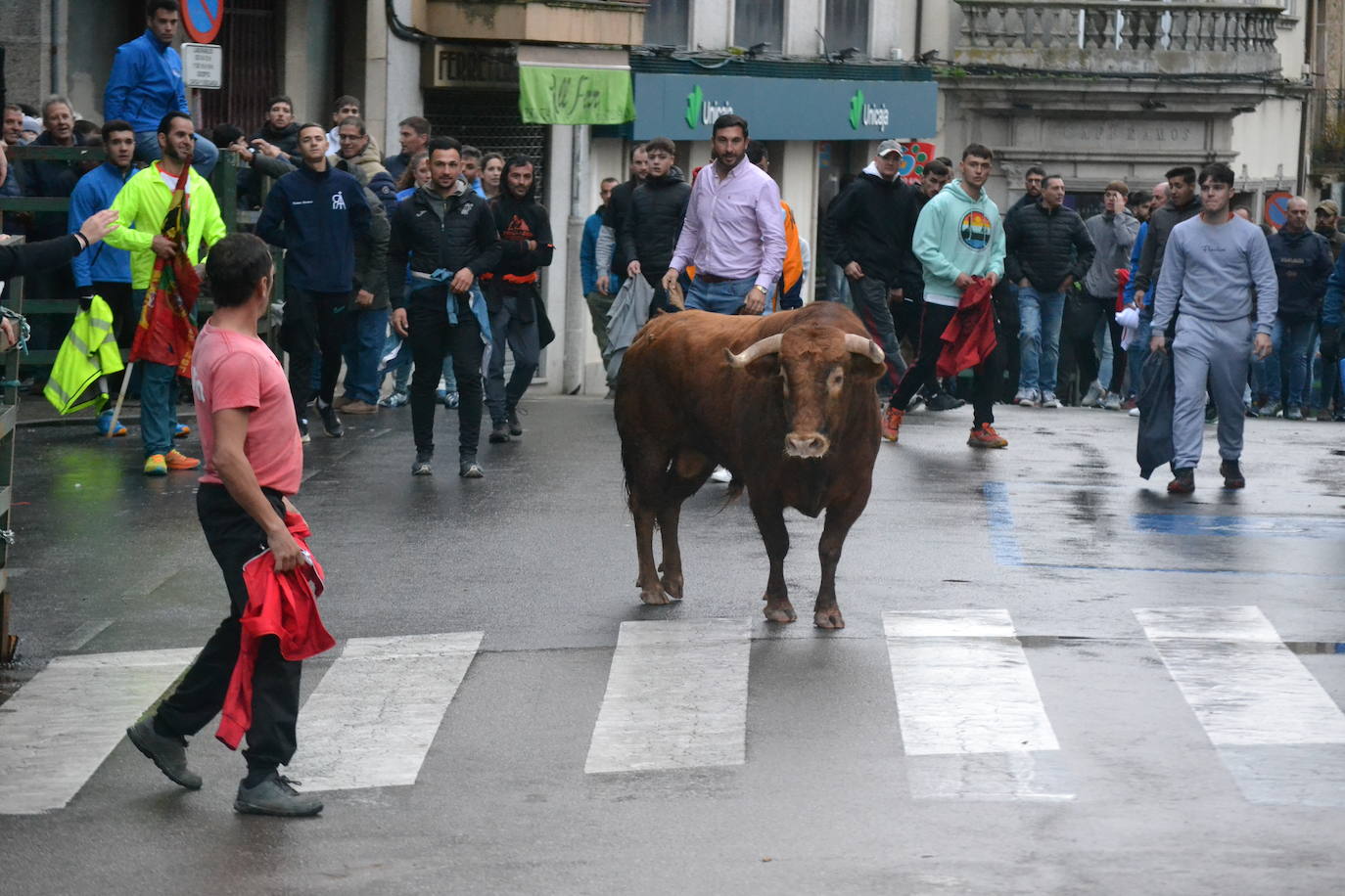 Vitigudino cierra el año taurino con un vibrante Toro de San Nicolás