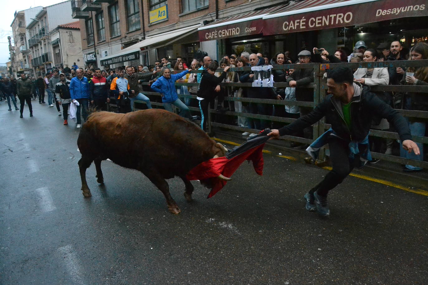Vitigudino cierra el año taurino con un vibrante Toro de San Nicolás