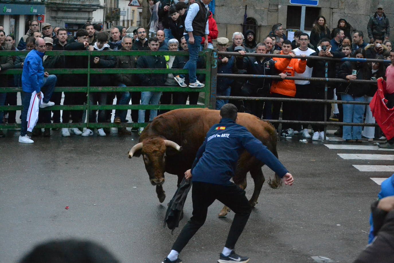 Vitigudino cierra el año taurino con un vibrante Toro de San Nicolás