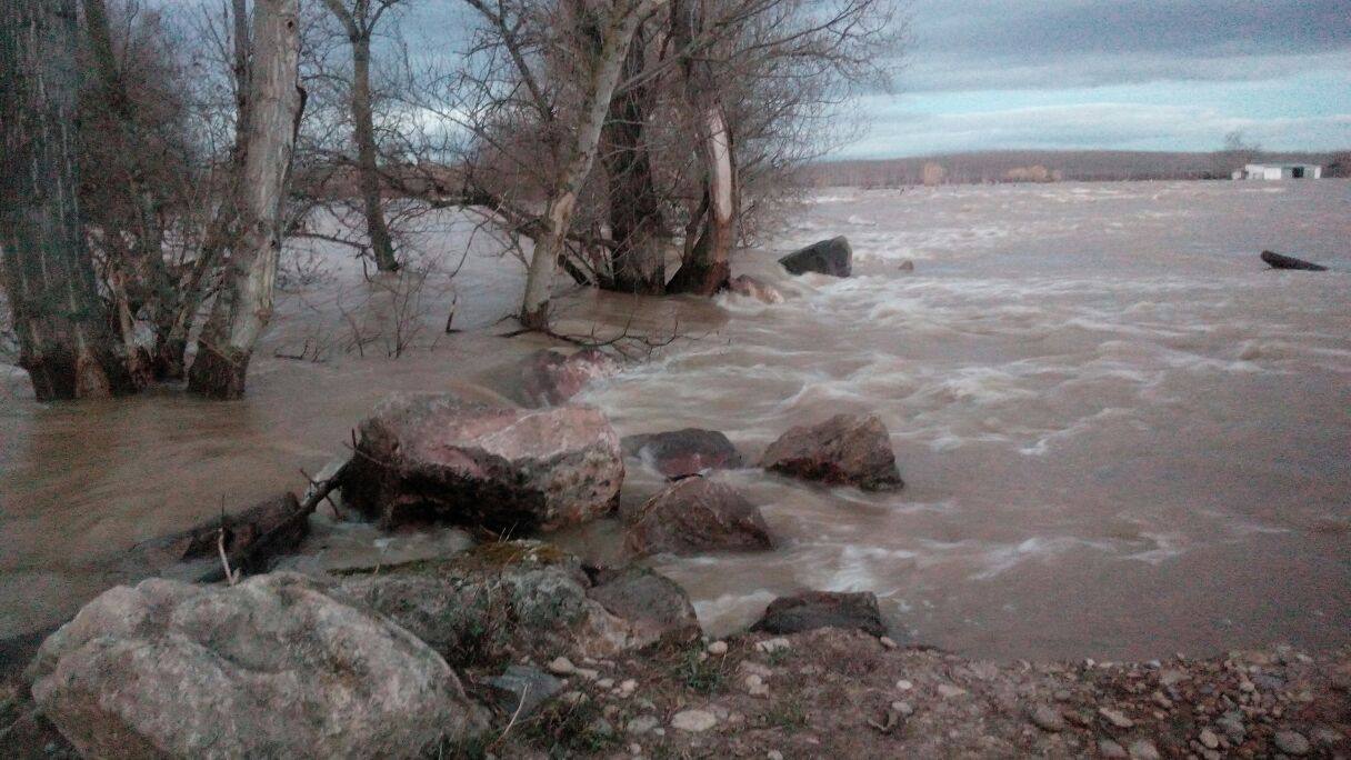 El río se está poniendo rebelde en los campos de La Rioja Baja como en el caso de Alfaro