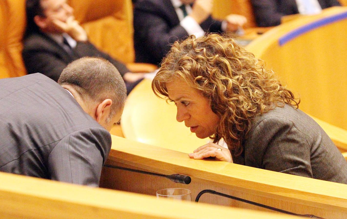 El pleno del Parlamento gira en torno a la AP-68, los Servicios Sociales y los municipios