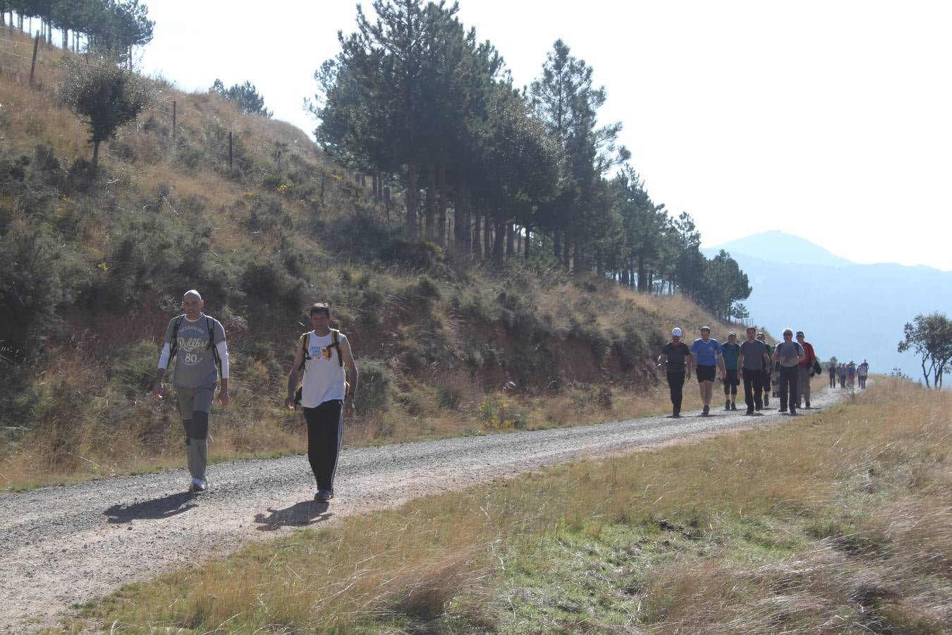 Arnedanos y visitantes participan en la marcha a Isasa