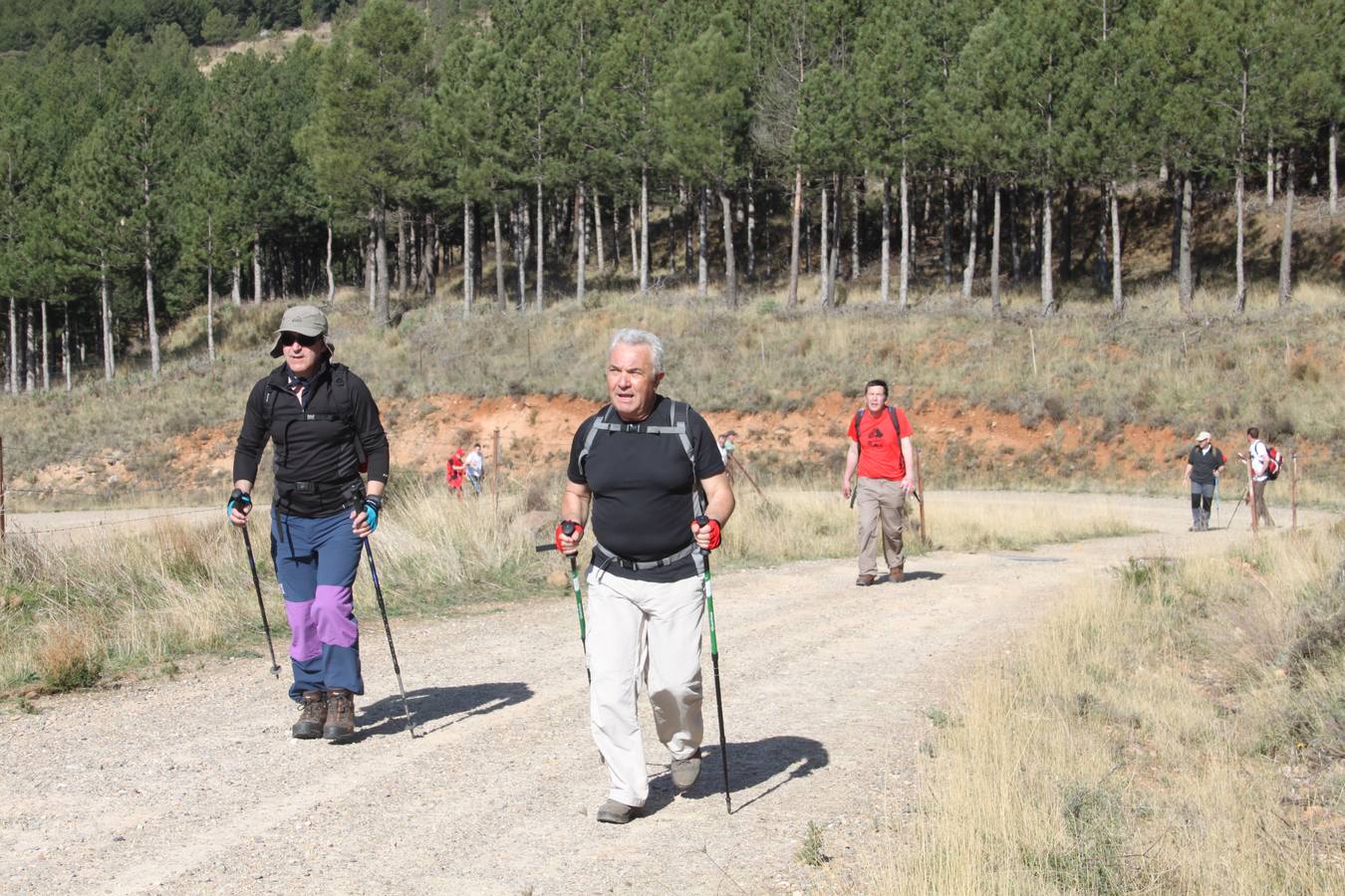 Arnedanos y visitantes participan en la marcha a Isasa