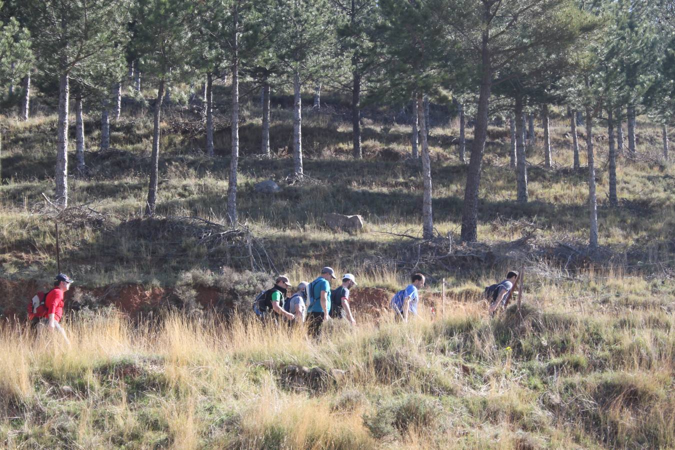 Arnedanos y visitantes participan en la marcha a Isasa