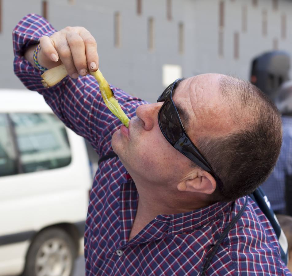 Día del Ajo Asado en Arnedo