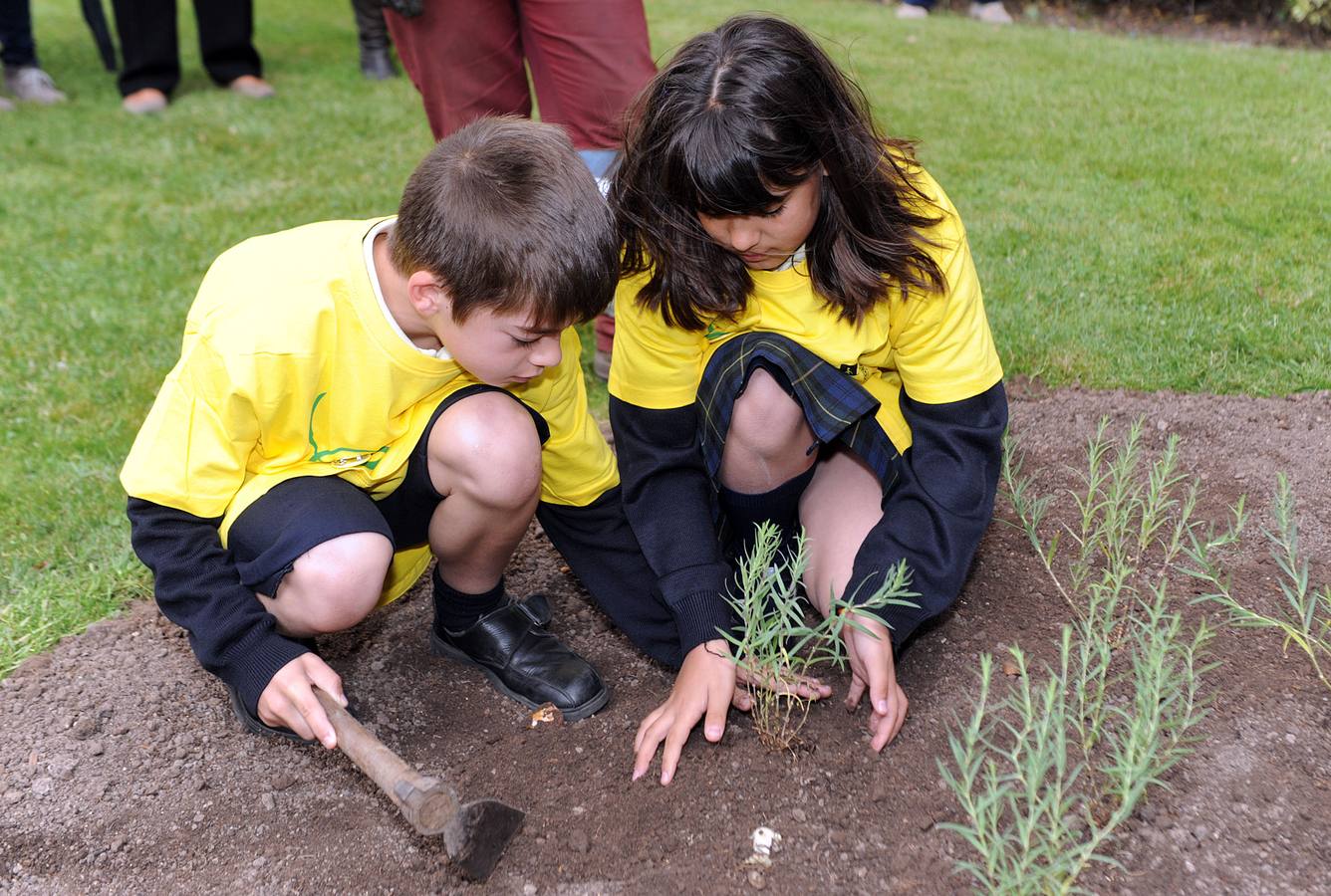 Escolares del Colegio Salesianos Los Boscos siembran la &#039;Planta de la Ilusión&#039;