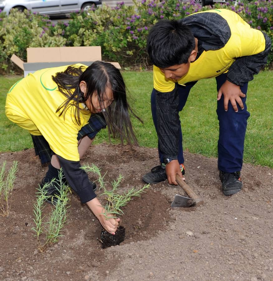 Escolares del Colegio Salesianos Los Boscos siembran la &#039;Planta de la Ilusión&#039;