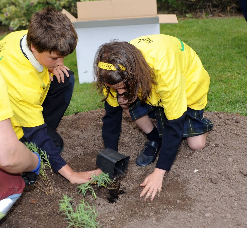 Escolares del Colegio Salesianos Los Boscos siembran la &#039;Planta de la Ilusión&#039;