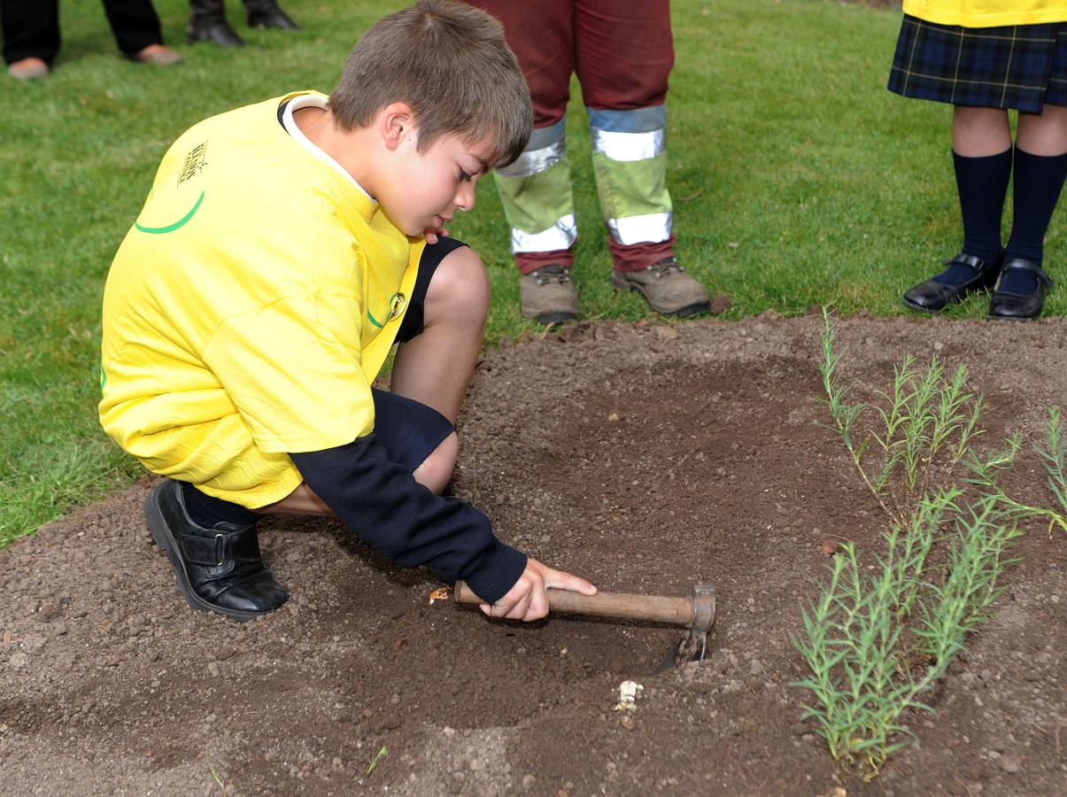 Escolares del Colegio Salesianos Los Boscos siembran la &#039;Planta de la Ilusión&#039;