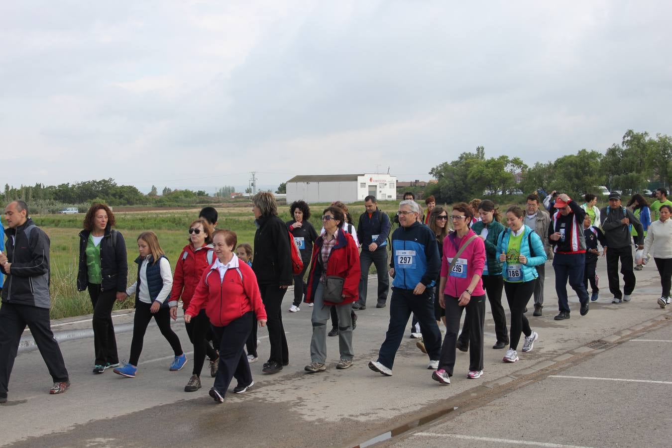 XXV Marcha Solidaria de Alfaro