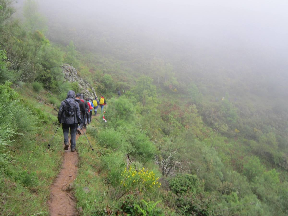 XV Marcha Senderista por los Montes de Anguiano