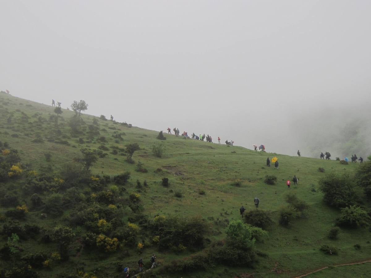 XV Marcha Senderista por los Montes de Anguiano