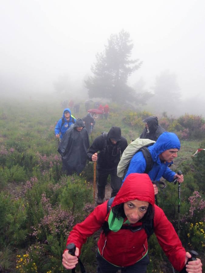 XV Marcha Senderista por los Montes de Anguiano