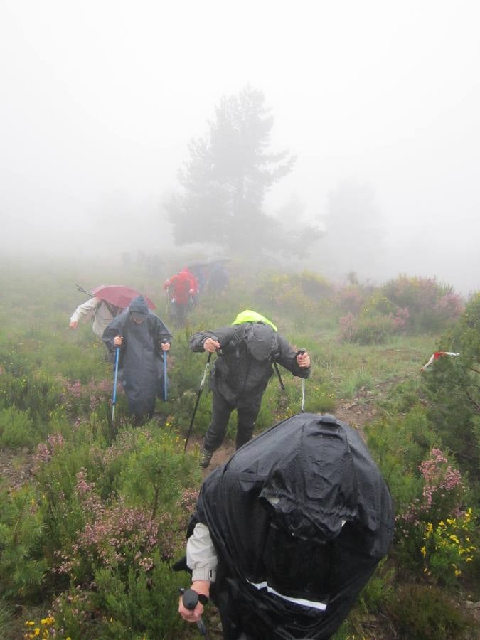 XV Marcha Senderista por los Montes de Anguiano