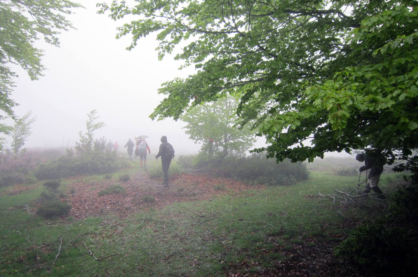 XV Marcha Senderista por los Montes de Anguiano