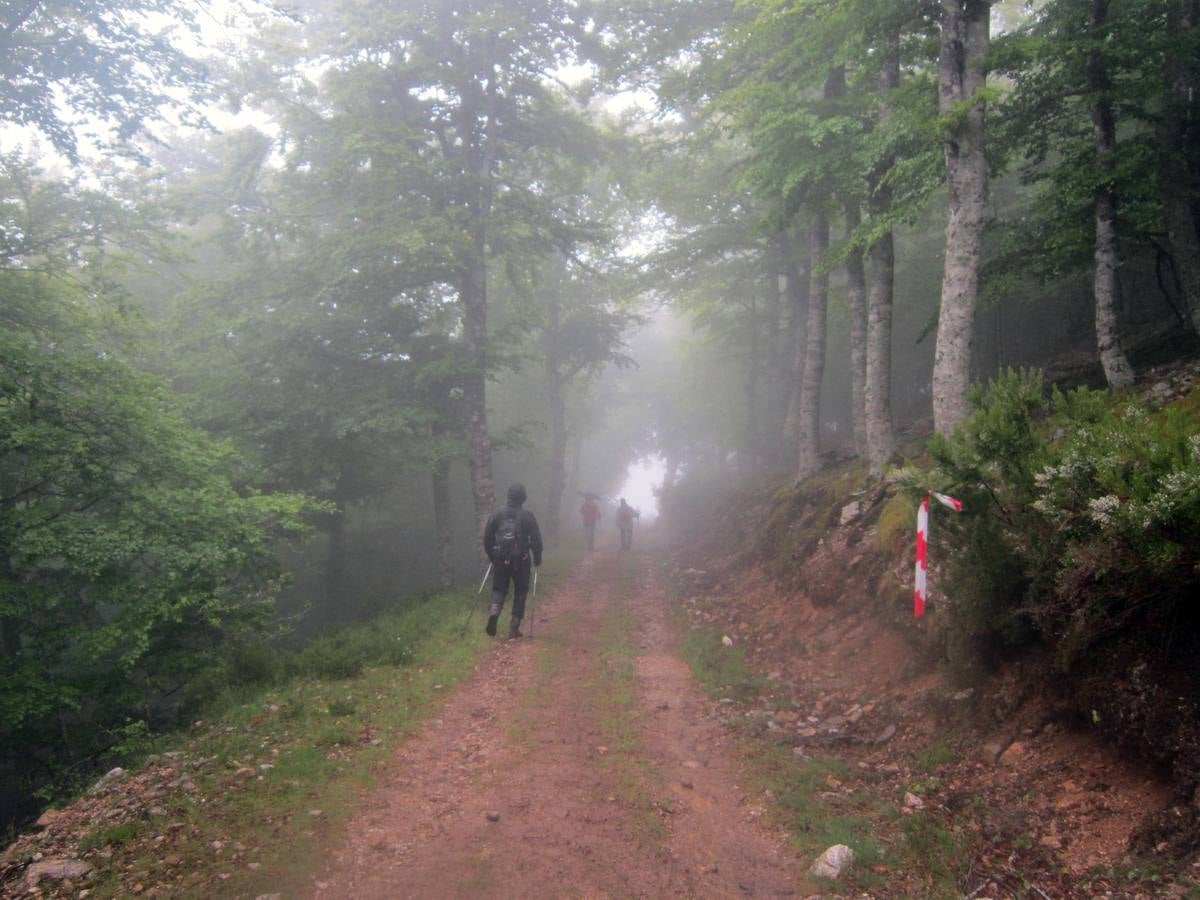 XV Marcha Senderista por los Montes de Anguiano