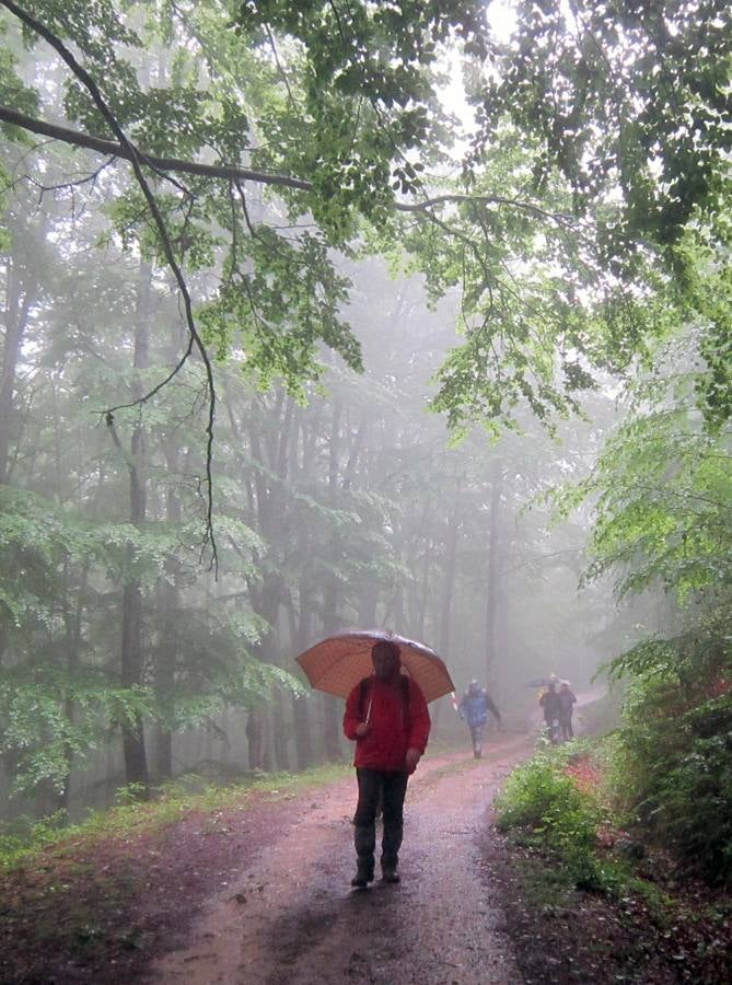 XV Marcha Senderista por los Montes de Anguiano