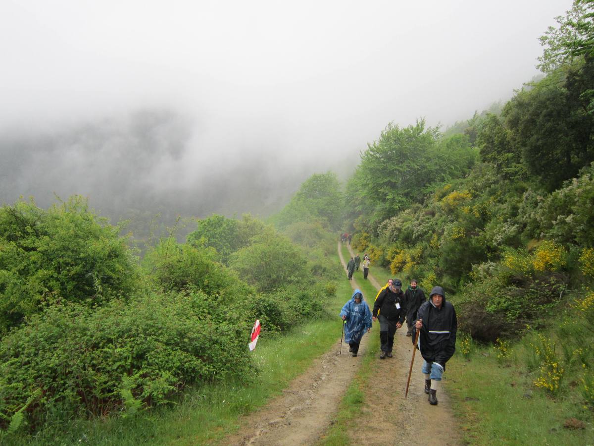 XV Marcha Senderista por los Montes de Anguiano (II)