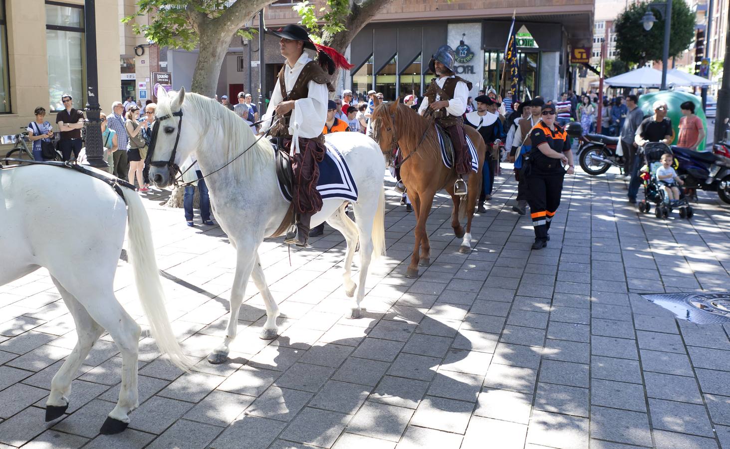 Desfile de caballeria