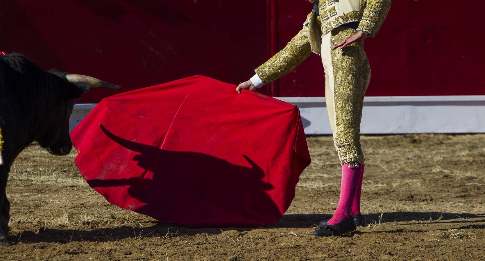 Fernando Flores gana el XII BolsínTaurino de La Rioja