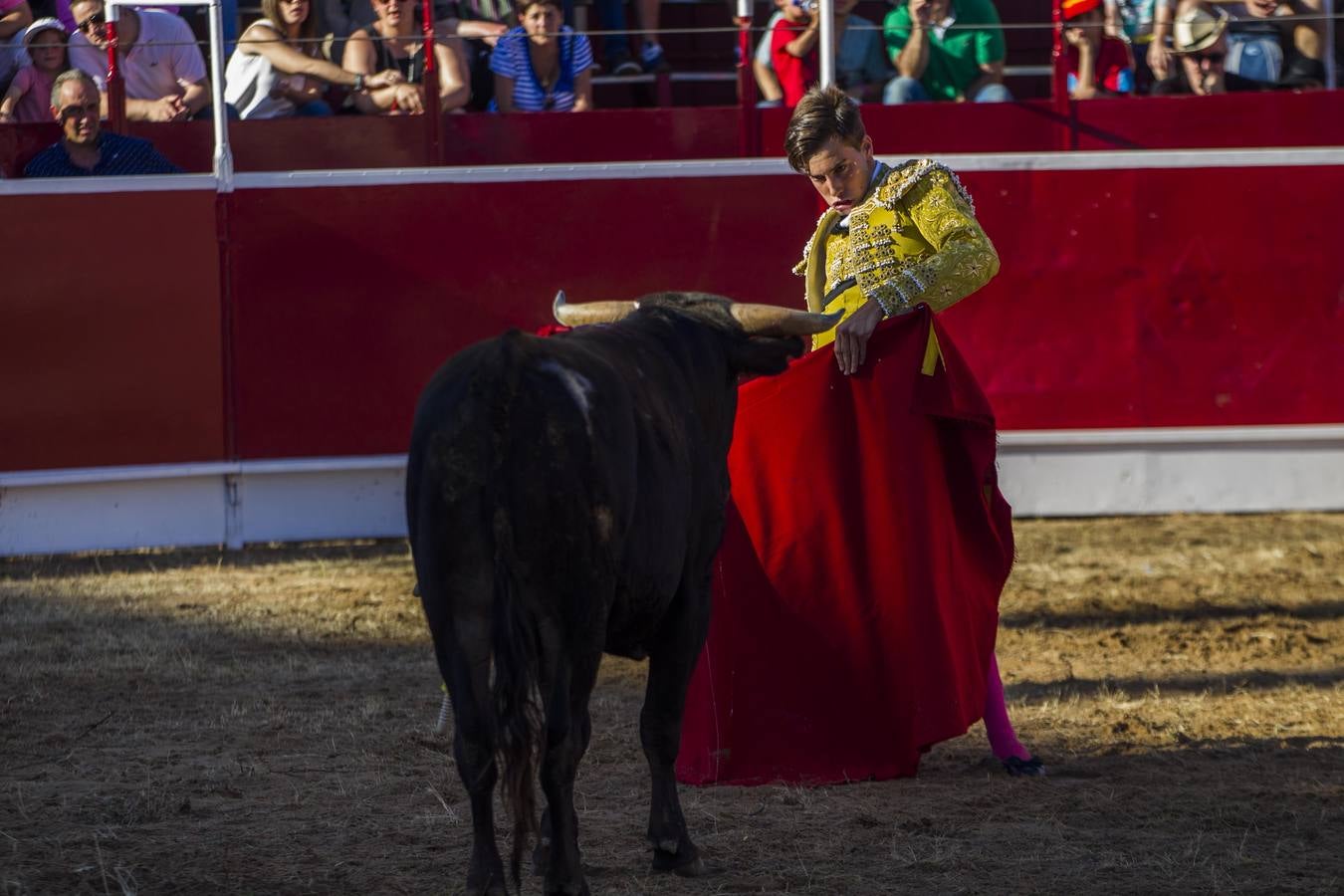 Fernando Flores gana el XII BolsínTaurino de La Rioja