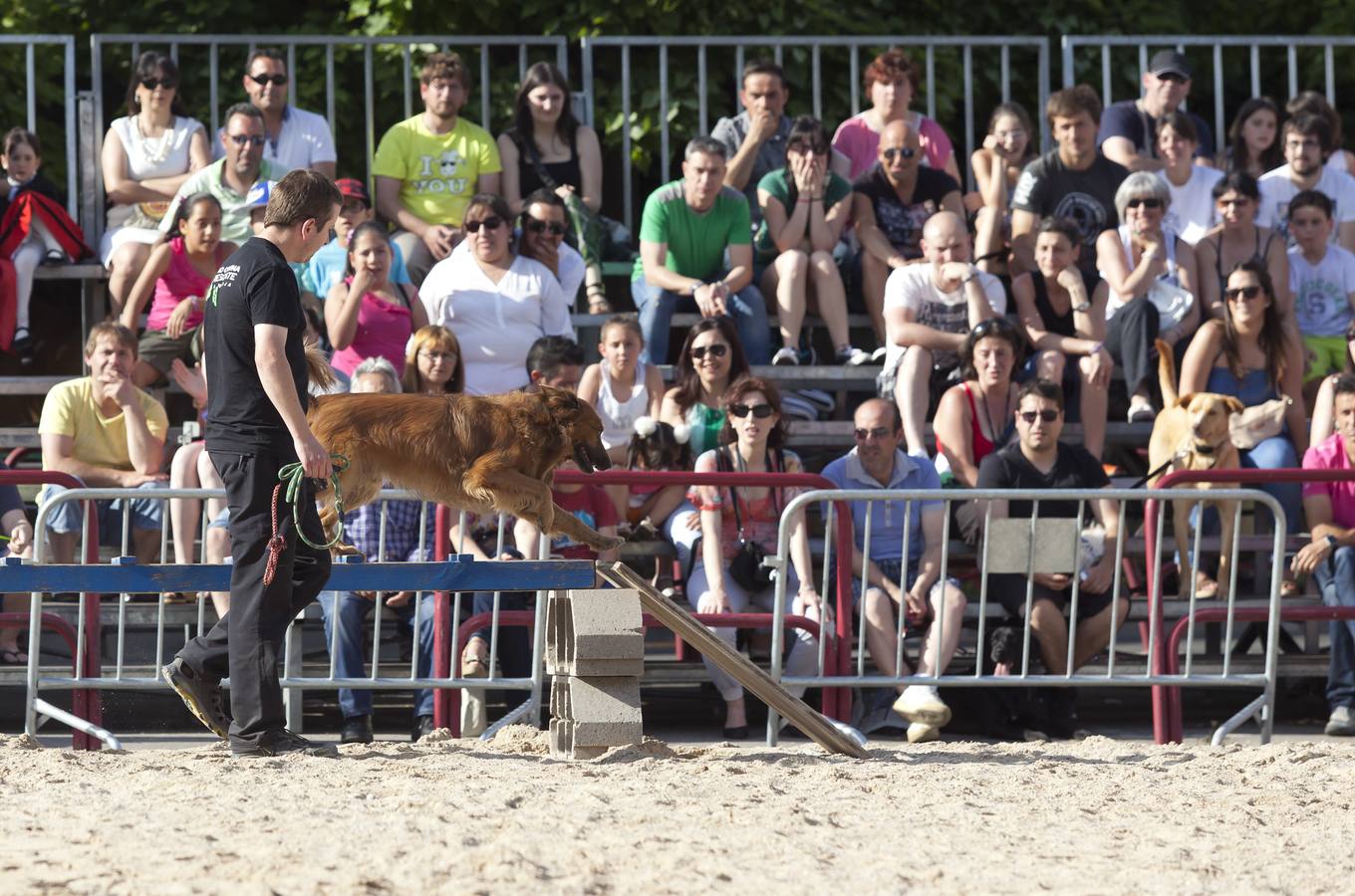 Demostración de la Unidad Canina de Rescate de La Rioja