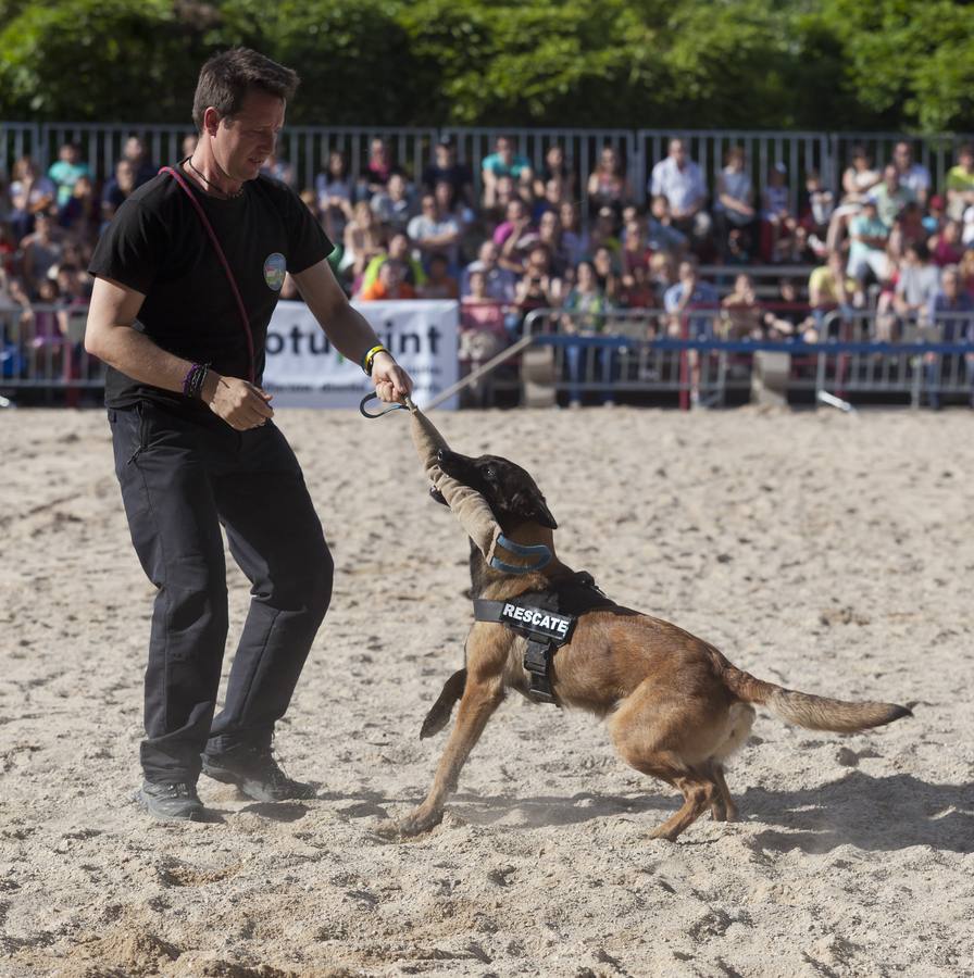 Demostración de la Unidad Canina de Rescate de La Rioja