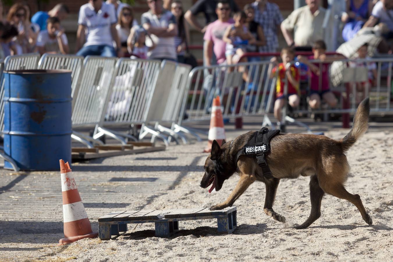 Demostración de la Unidad Canina de Rescate de La Rioja