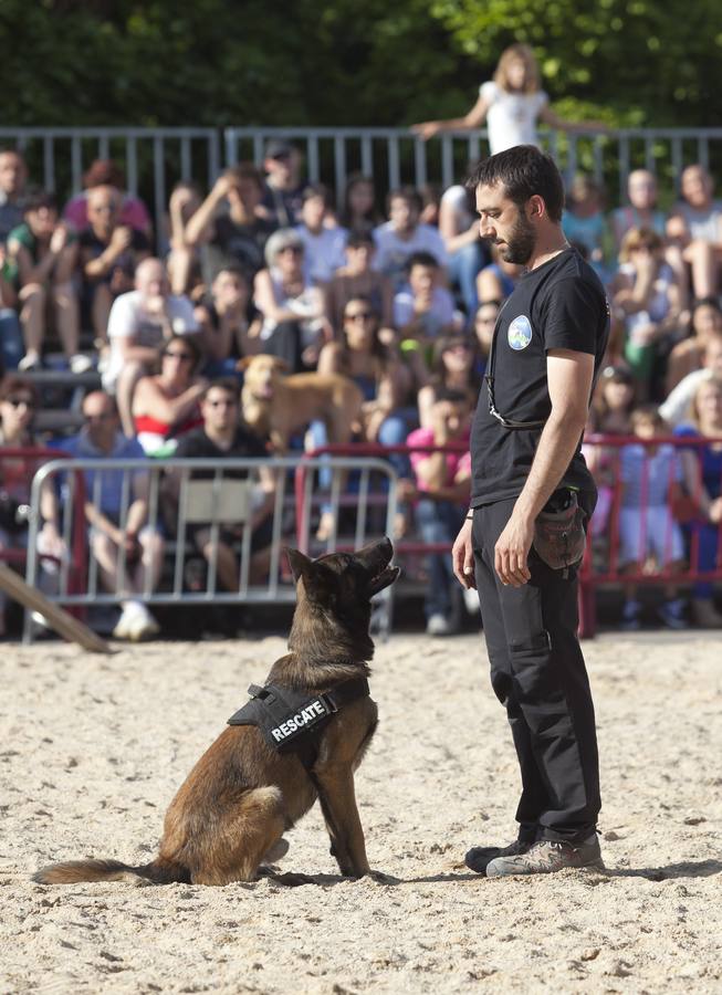 Demostración de la Unidad Canina de Rescate de La Rioja