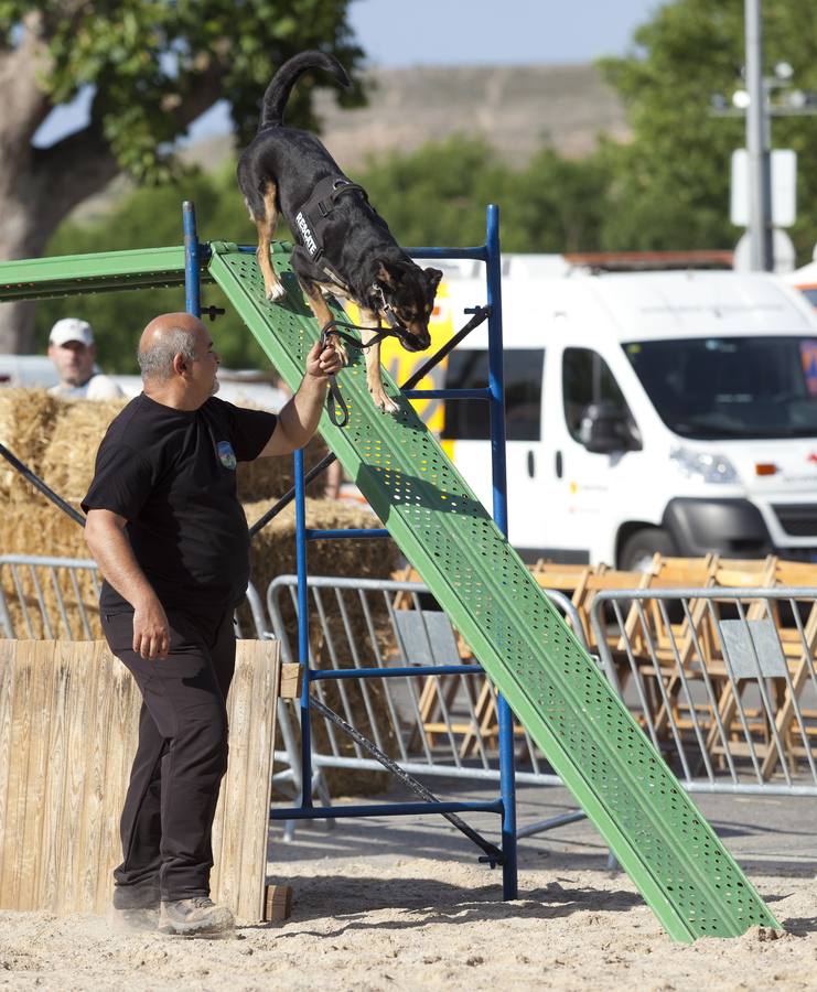 Demostración de la Unidad Canina de Rescate de La Rioja