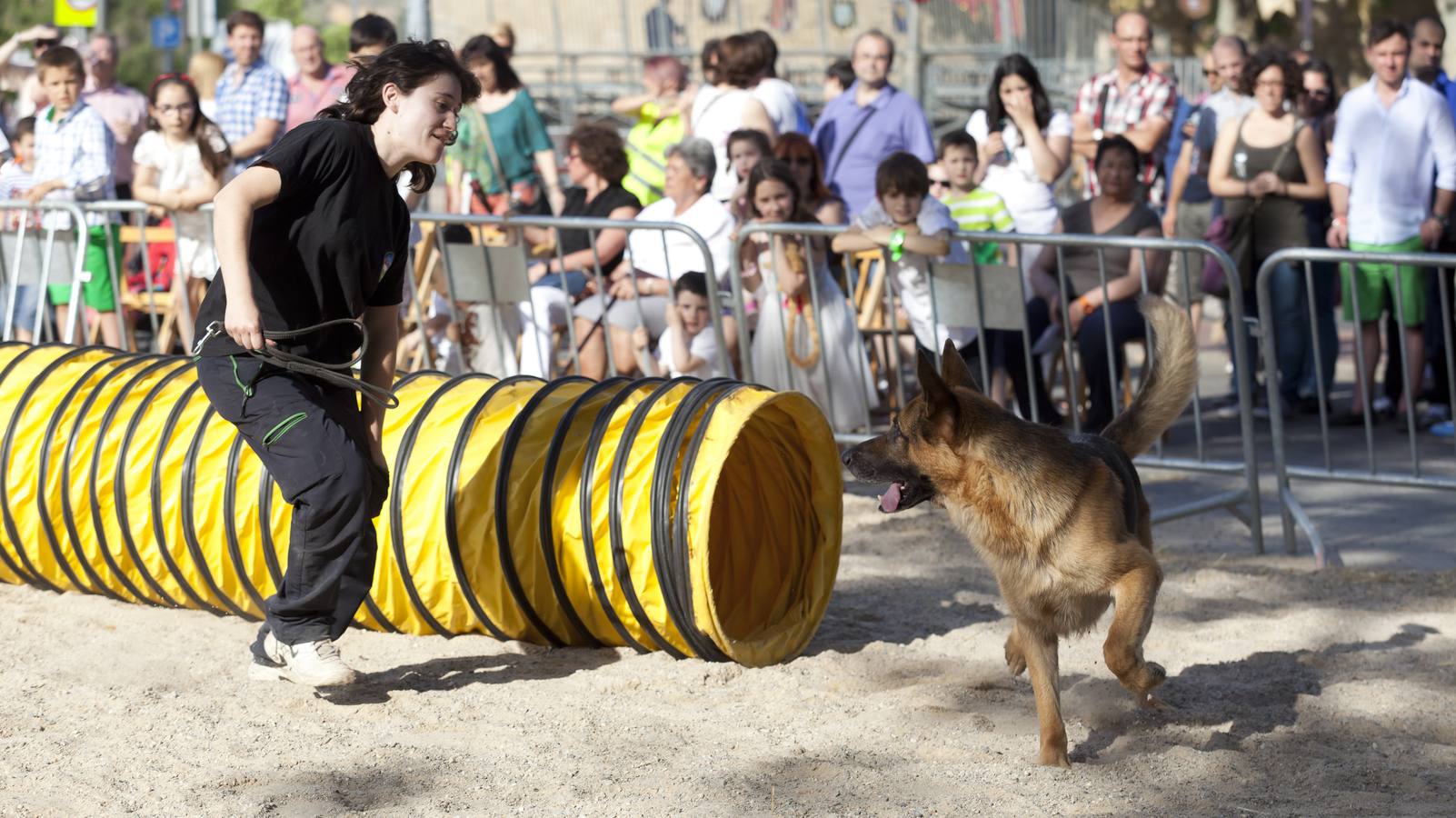 Demostración de la Unidad Canina de Rescate de La Rioja