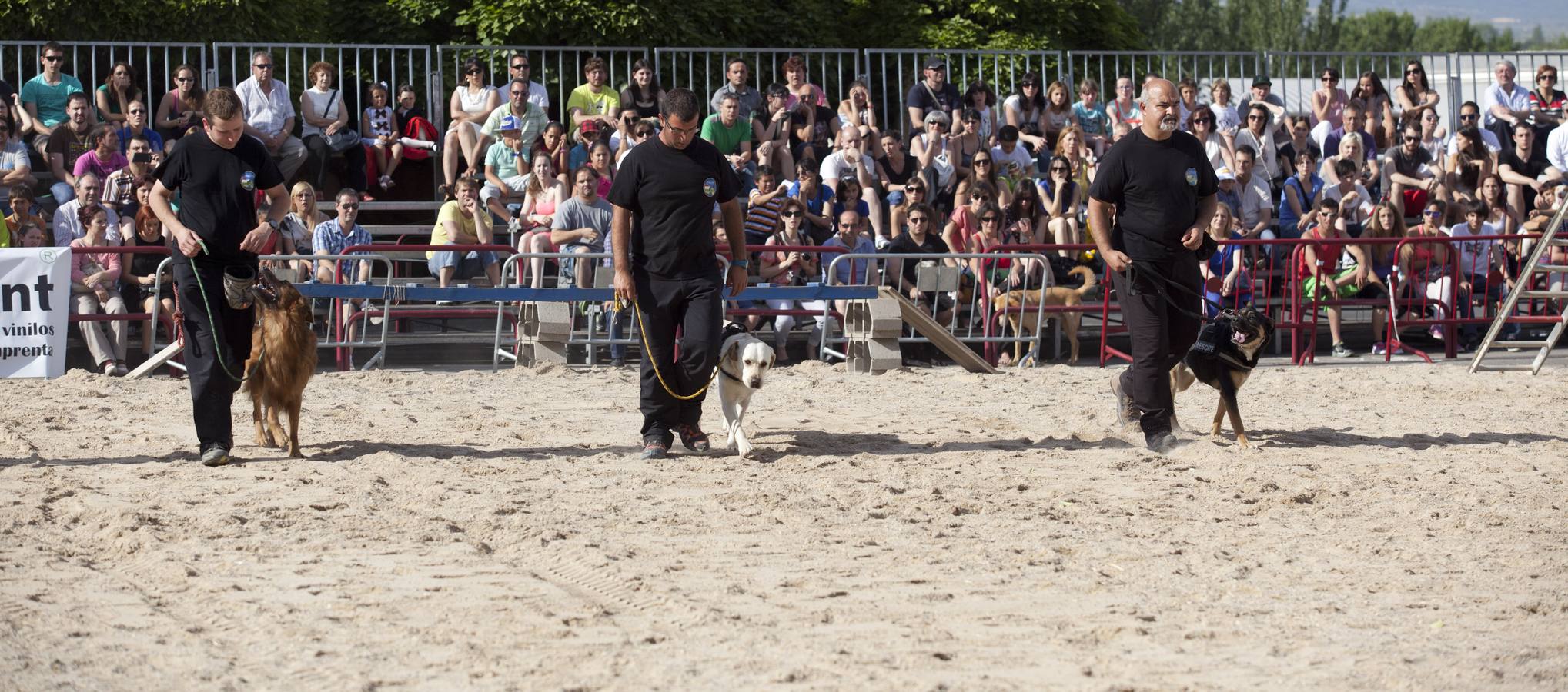 Demostración de la Unidad Canina de Rescate de La Rioja