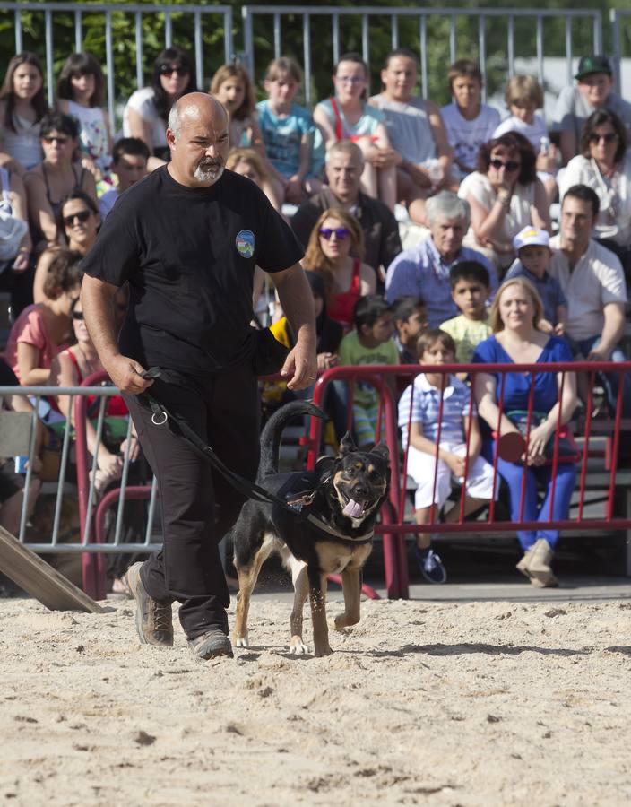 Demostración de la Unidad Canina de Rescate de La Rioja