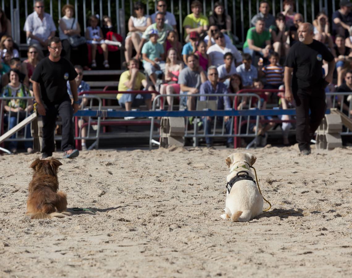 Demostración de la Unidad Canina de Rescate de La Rioja