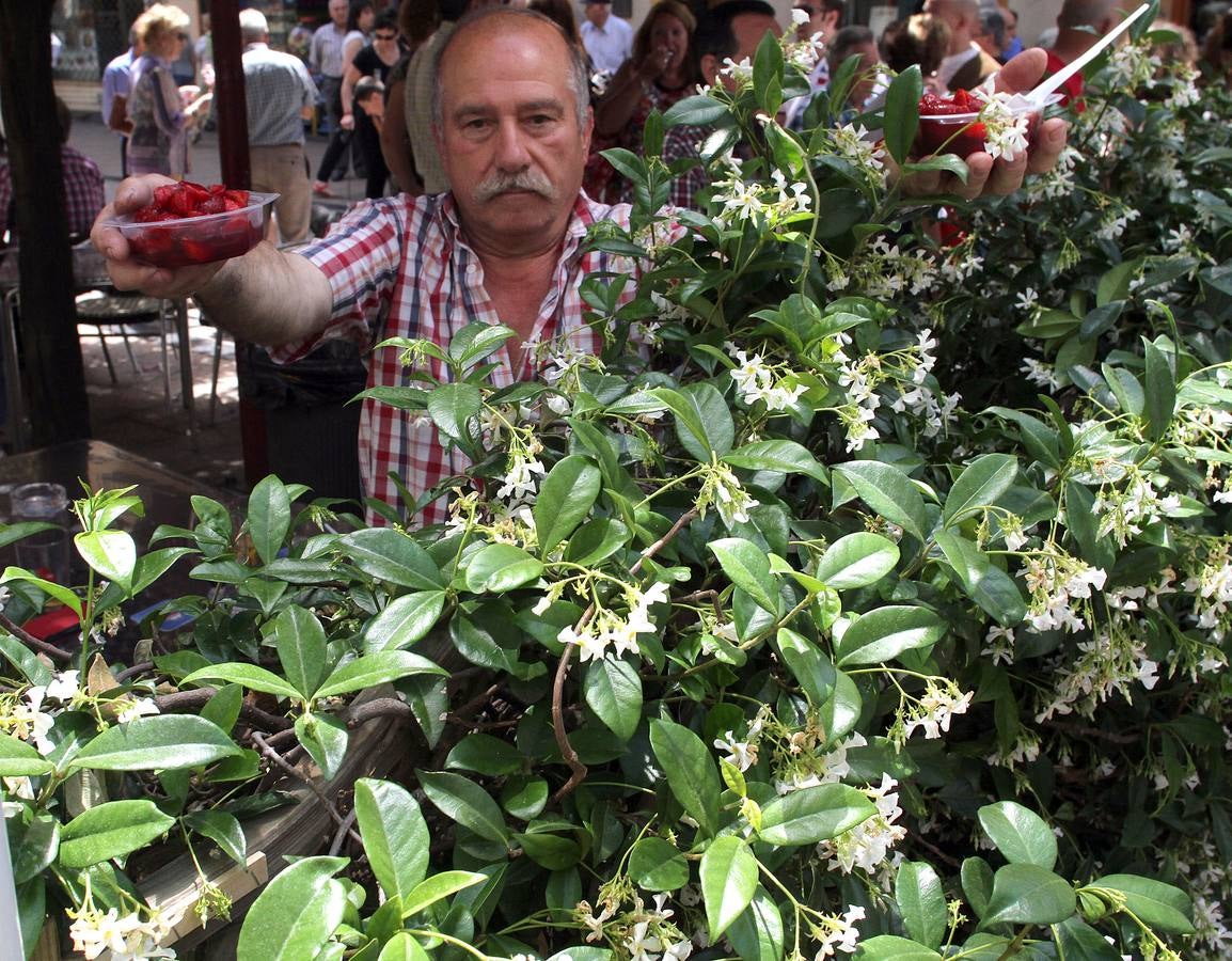 Degustación de fresas con vino en la calle Juan Lobo