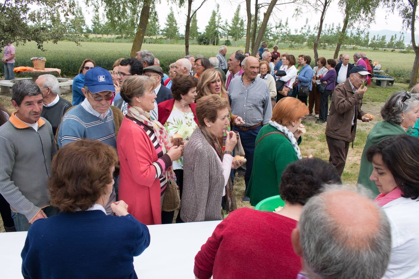 Romería a la Ermita de Las Abejas organizada por la Cofradía de San Isidro