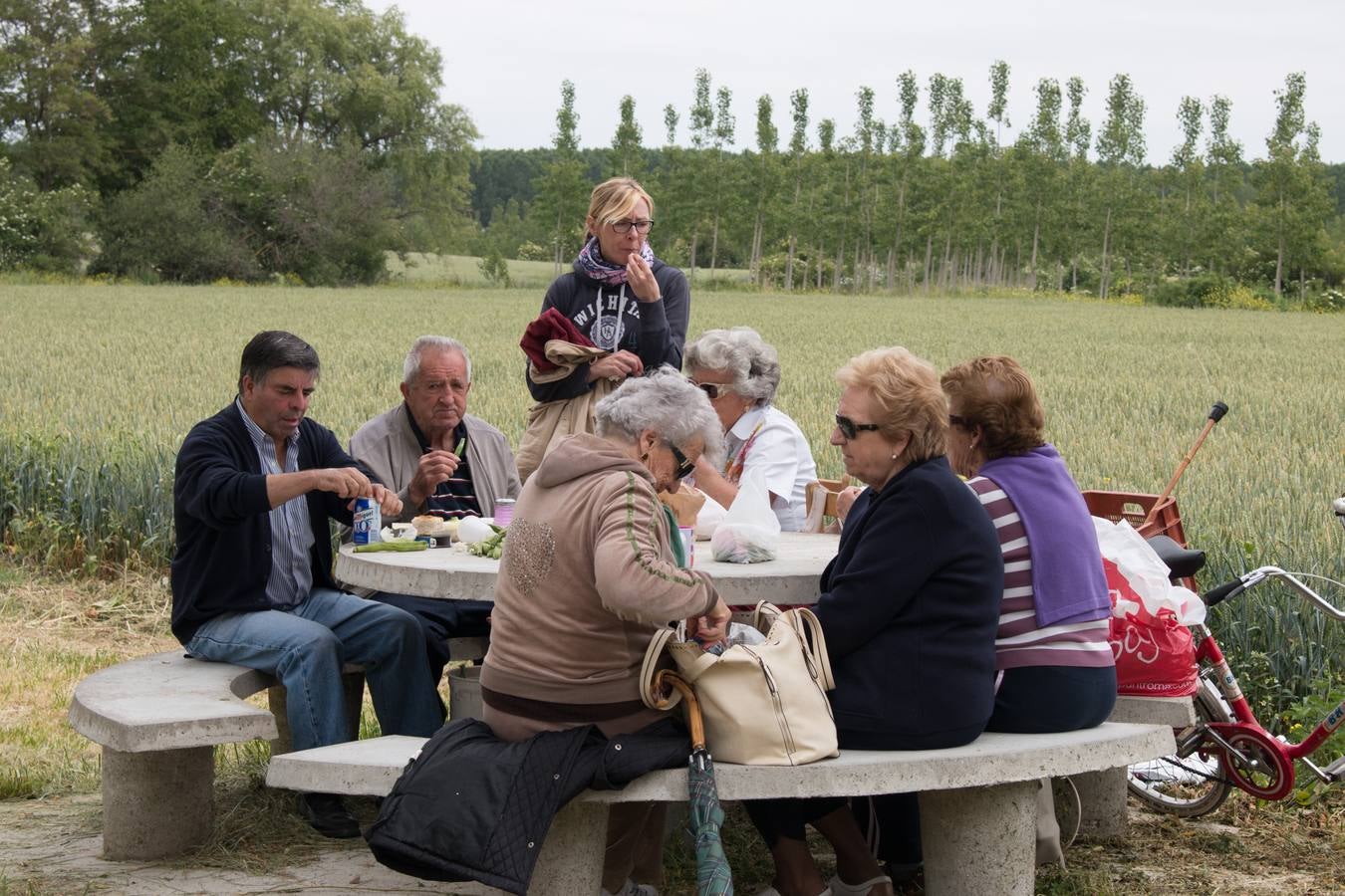 Romería a la Ermita de Las Abejas organizada por la Cofradía de San Isidro