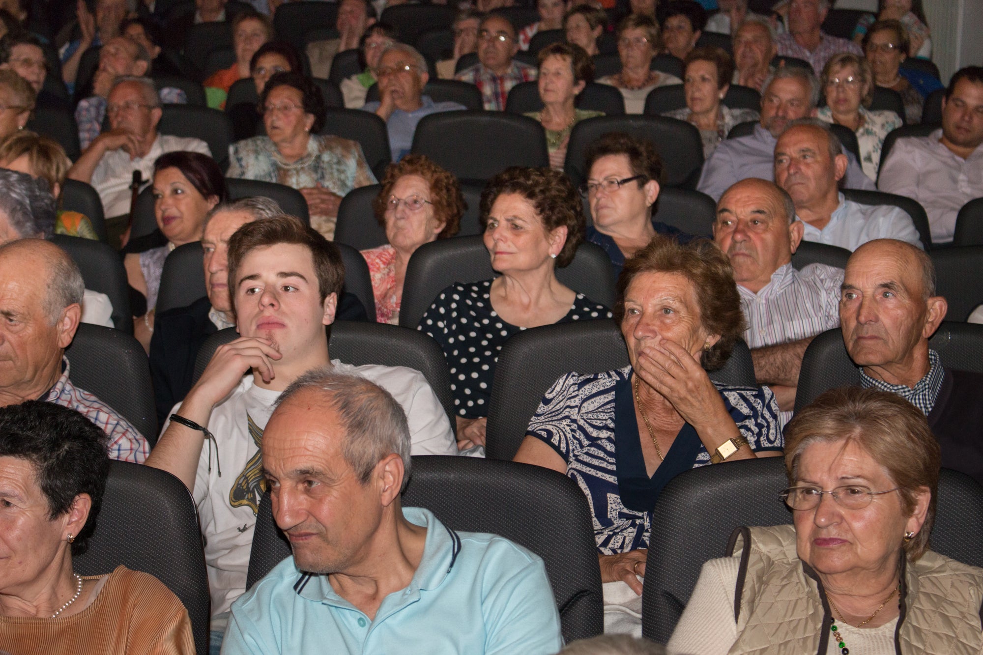 Premios Excelencia Calceatense