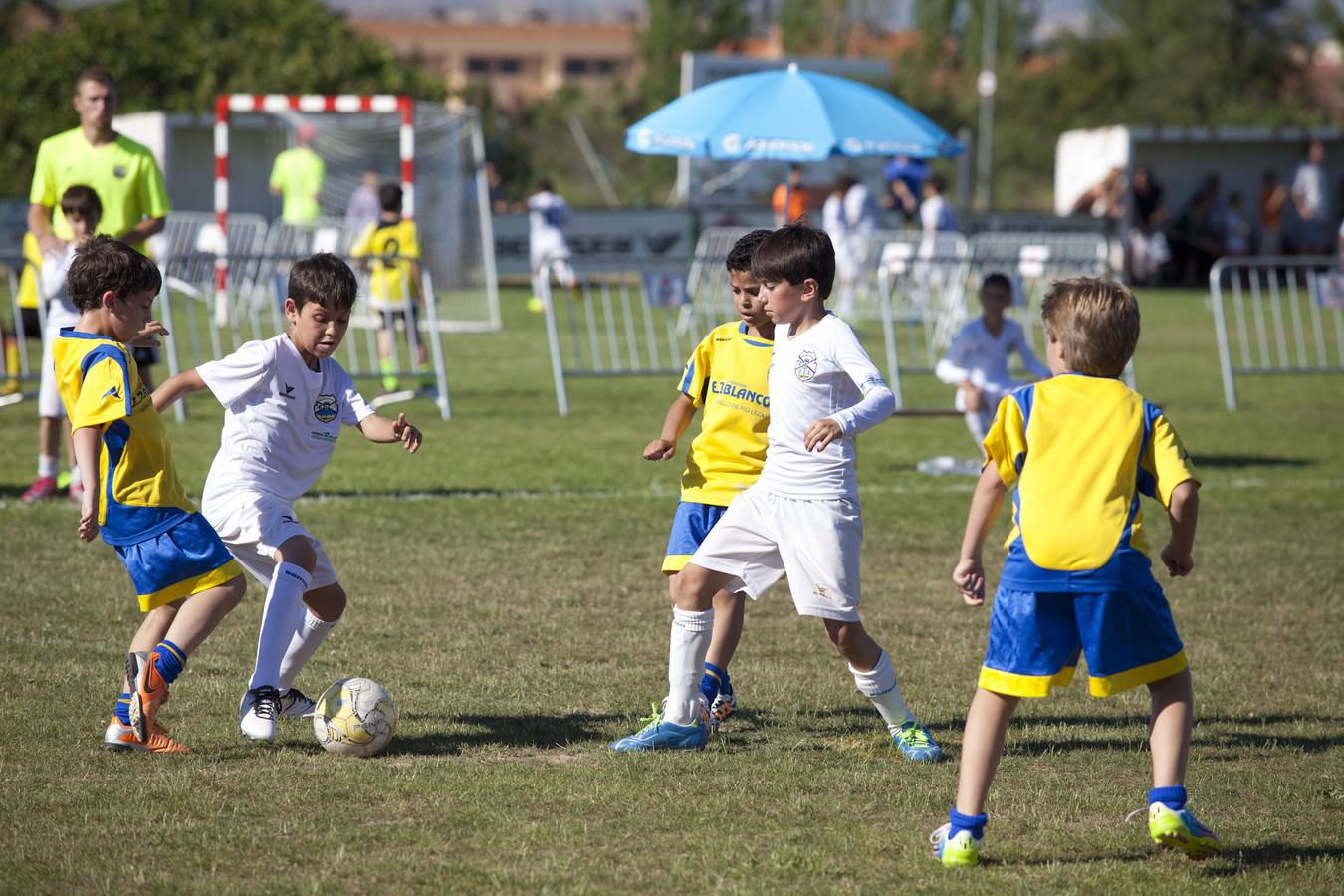 I Jornada del Memorial Nani, organizado por Balsamaiso