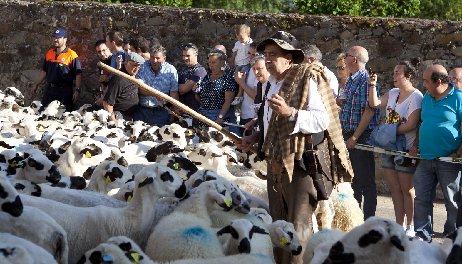 Fiesta de la Trashumancia en Brieva