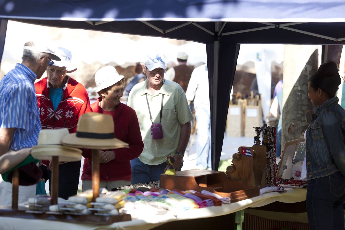 Fiesta de la Trashumancia en Brieva