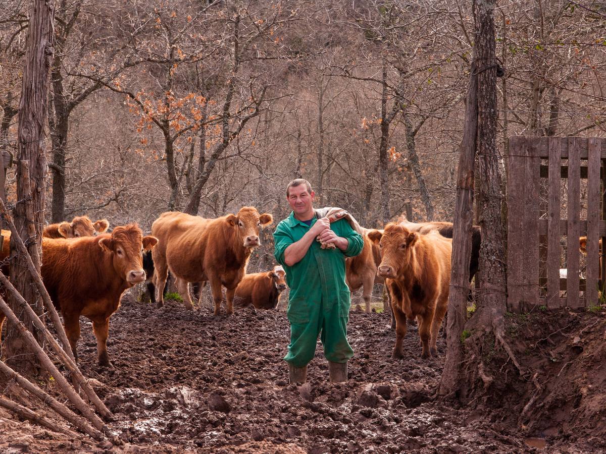 Laguna se retrata el alma
