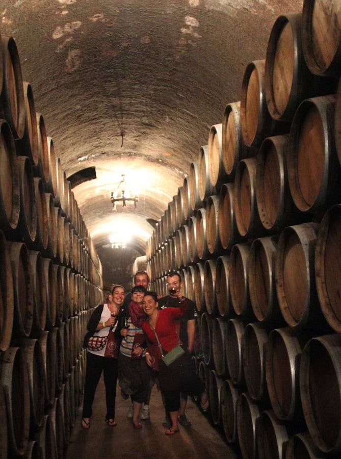 Jornada de puertas abiertas de las bodegas de Villamediana