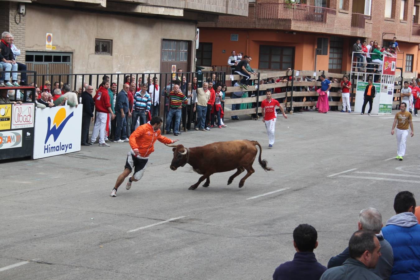 Arnedo apura sus fiestas