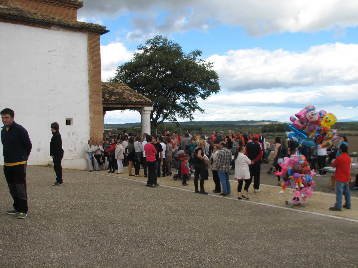 Romería del día del Pilar en Alfaro